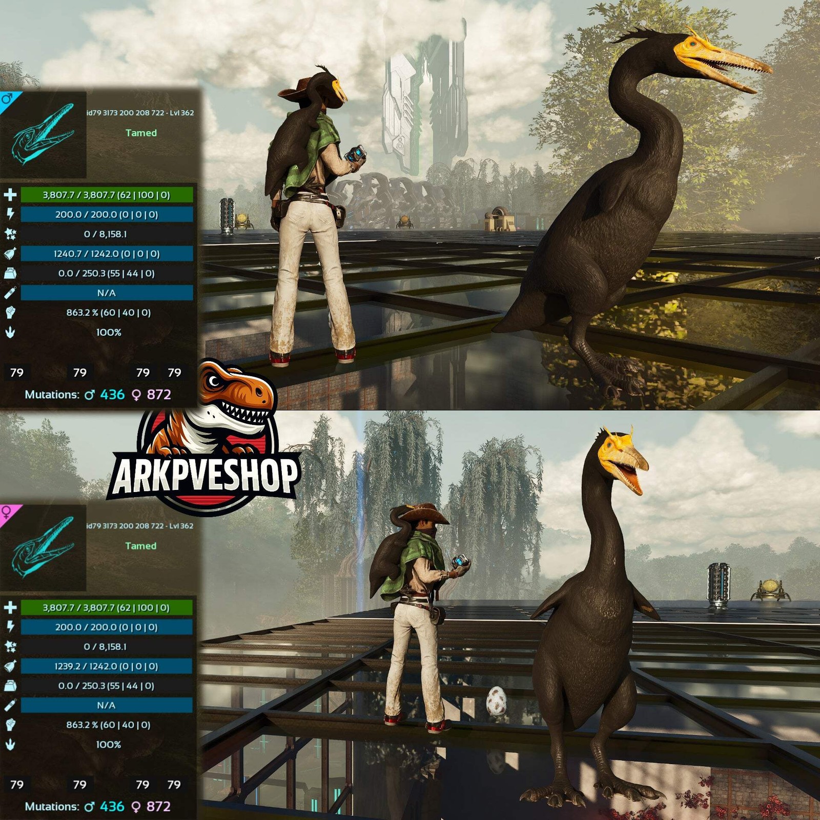 Hesperonis 863.2%melee Golden egg farmer ASA PVE 🦖ARK Survival Ascended