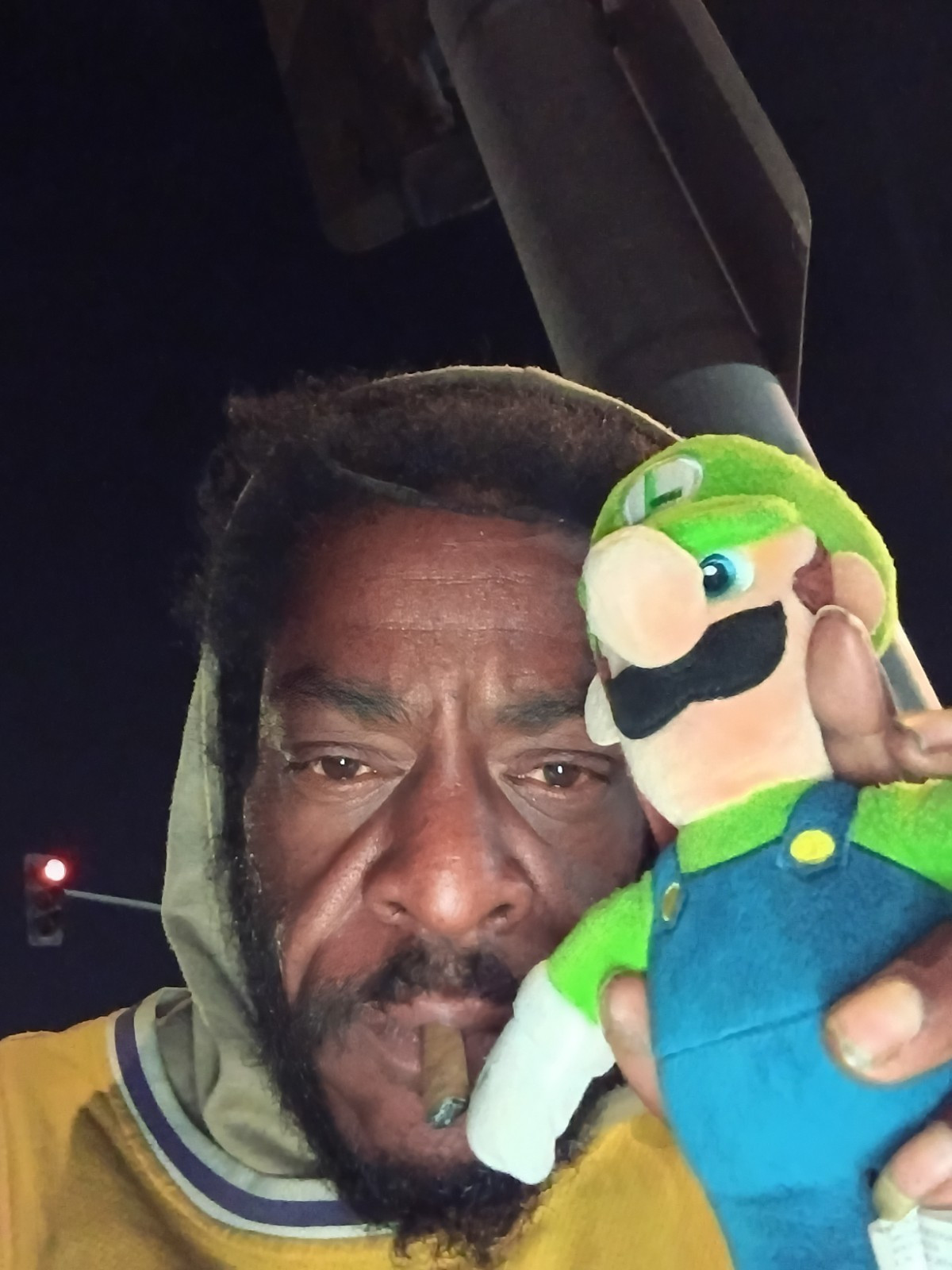 Luigi Plush Doll Super Mario Bros Video Game Character Merchandise