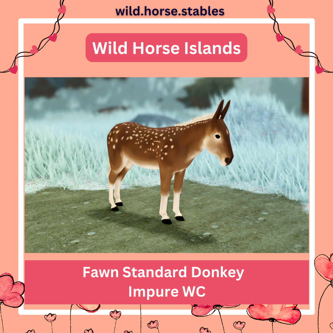 Wild Horse Islands – Fawn Horses Wild Caught (All Breeds)