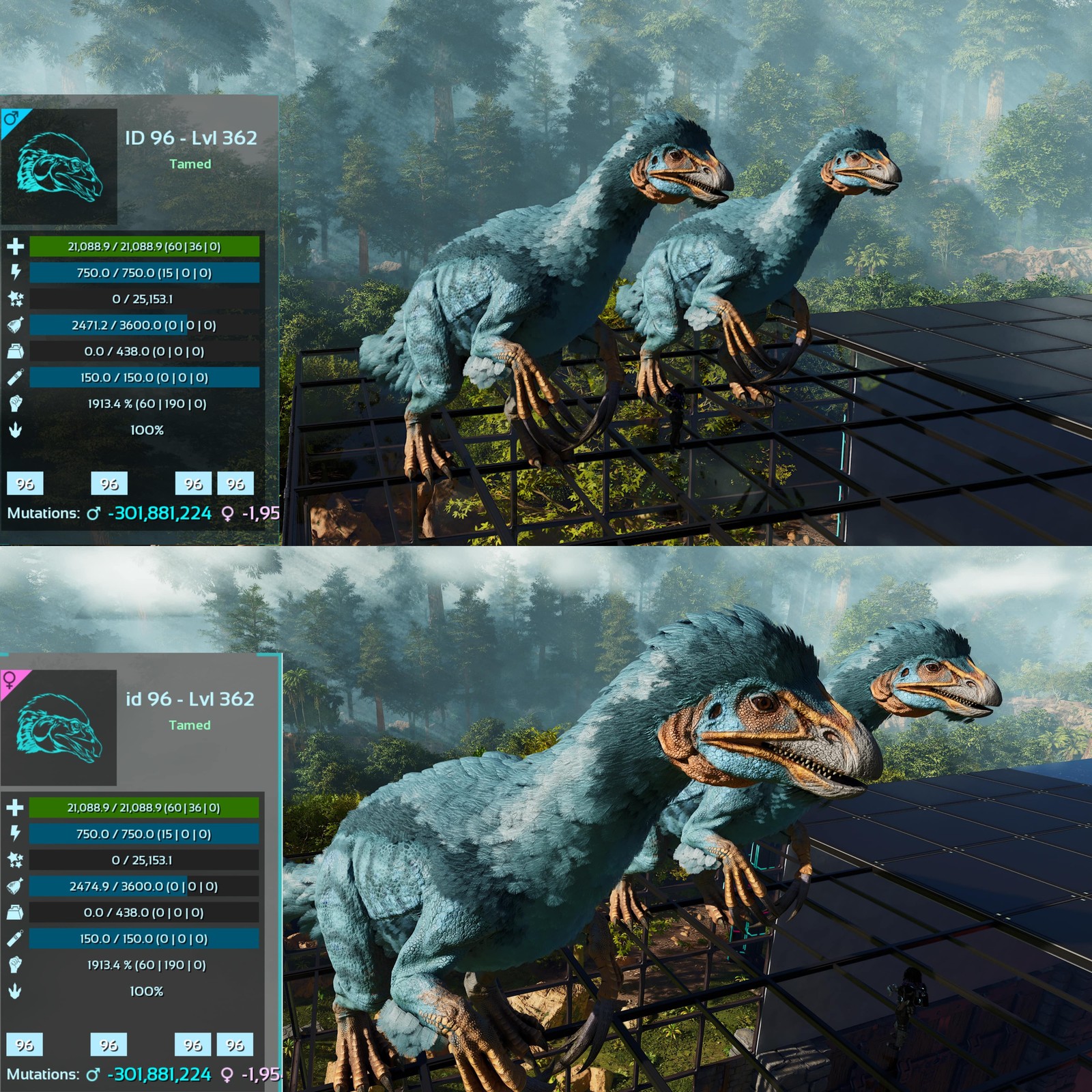 ASA PVE 🦖ARK Survival Ascended Therizinosaurus / Theri 1913Melee Imprinted