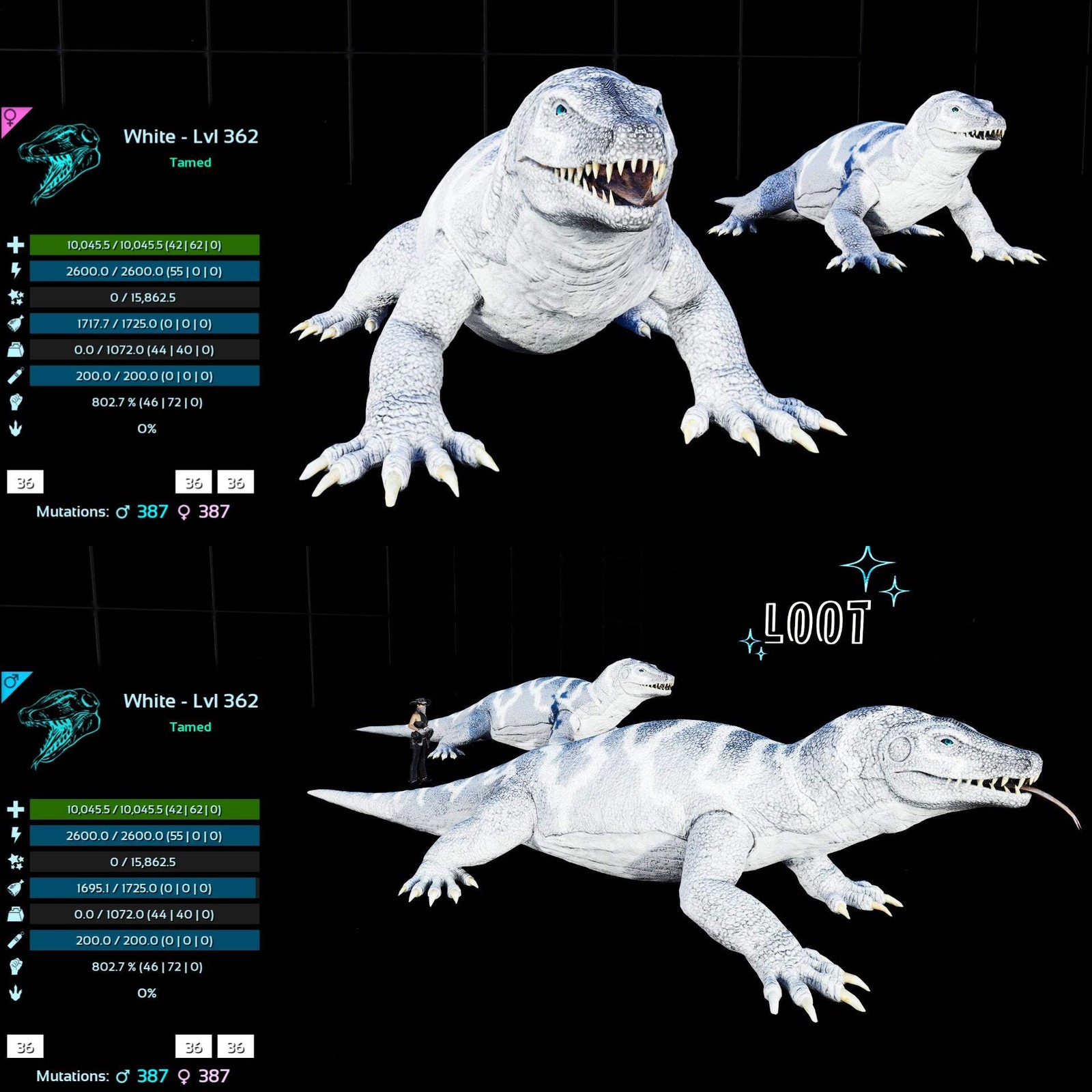 ASA PVE 🦖ARK Survival Ascended Megalania 362Lvl toxin utility