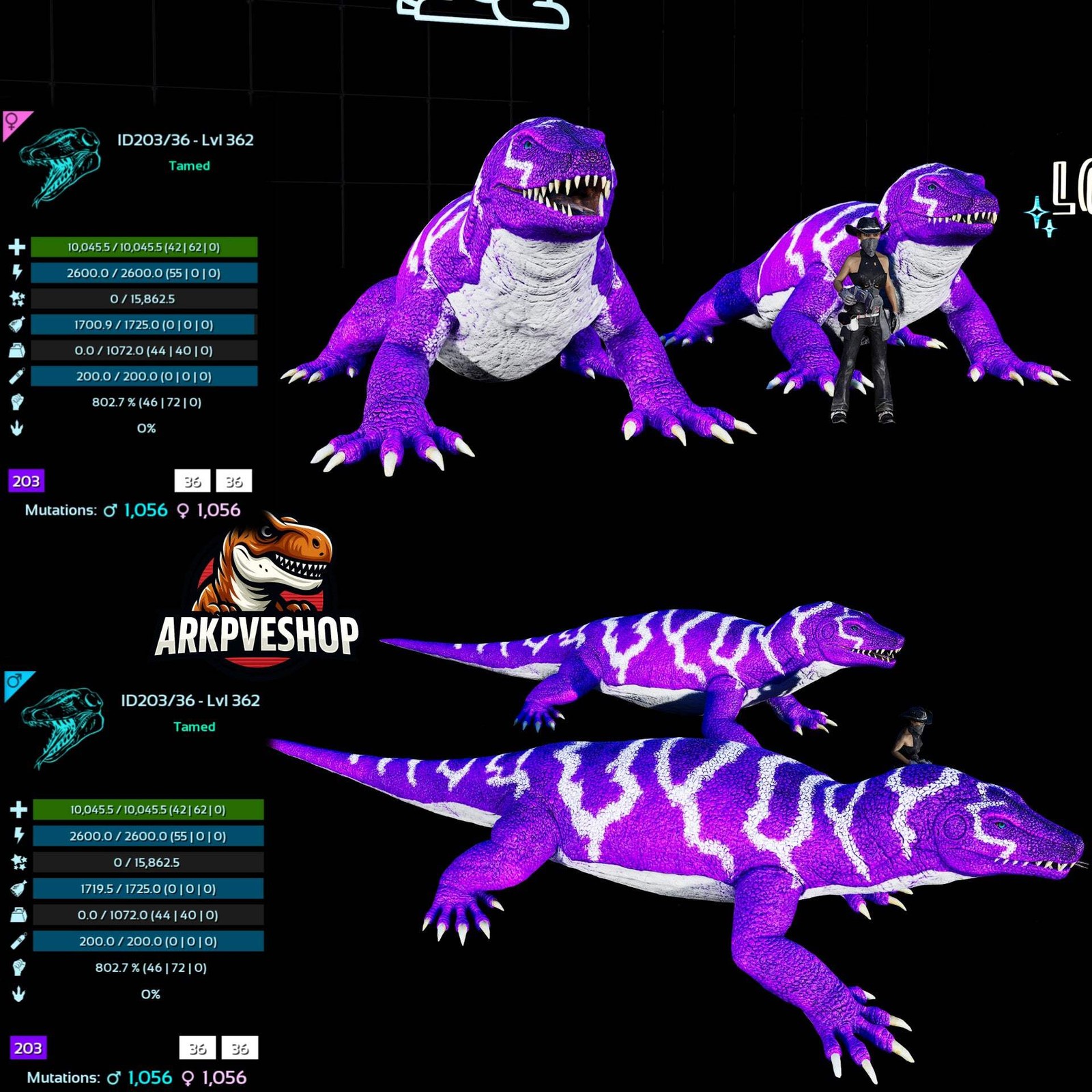 ASA PVE 🦖ARK Survival Ascended Megalania 362Lvl toxin utility