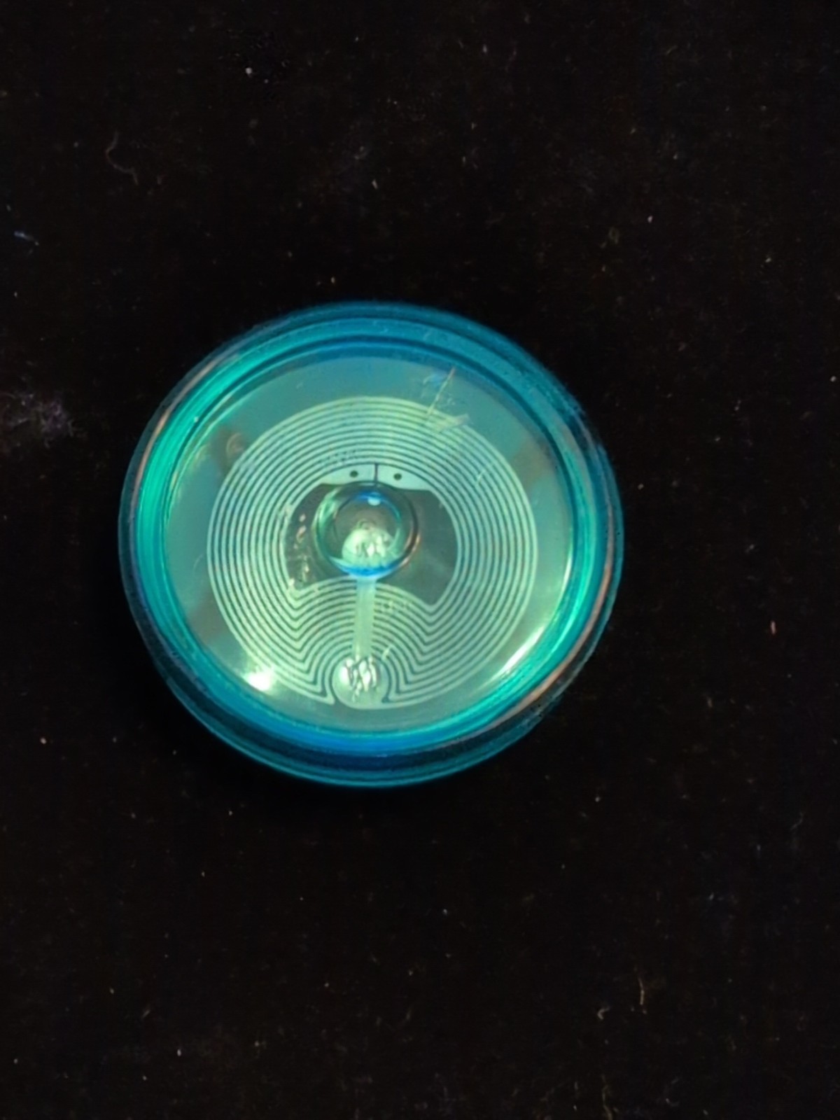LEGO Dimensions Shaggy Rogers Scooby Doo Tag Disc Only 71206