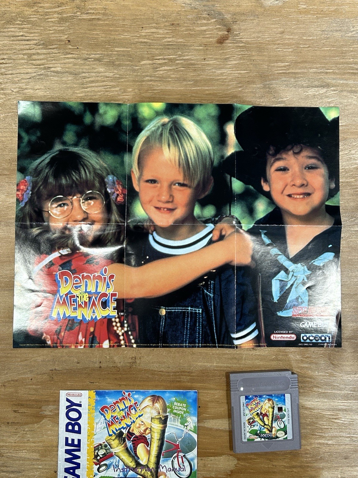 Dennis the Menace Nintendo Game Boy, 1994 Game Cartridge Poster & Manual Tested