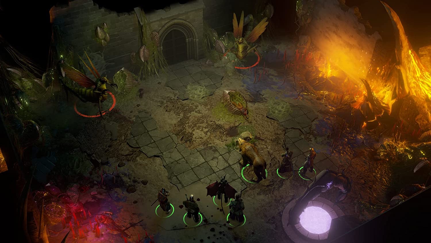 Pathfinder: Wrath of the Righteous – Limited Ed (Microsoft Xbox One) (UK IMPORT)