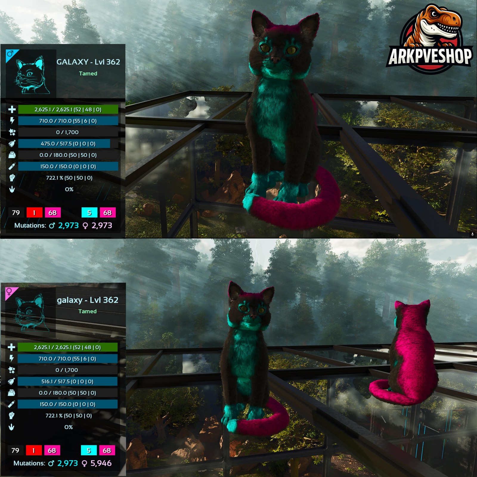 ASA PVE 🦖ARK Survival Ascended Cat / Cats Event Colours Top Stats 722Melee