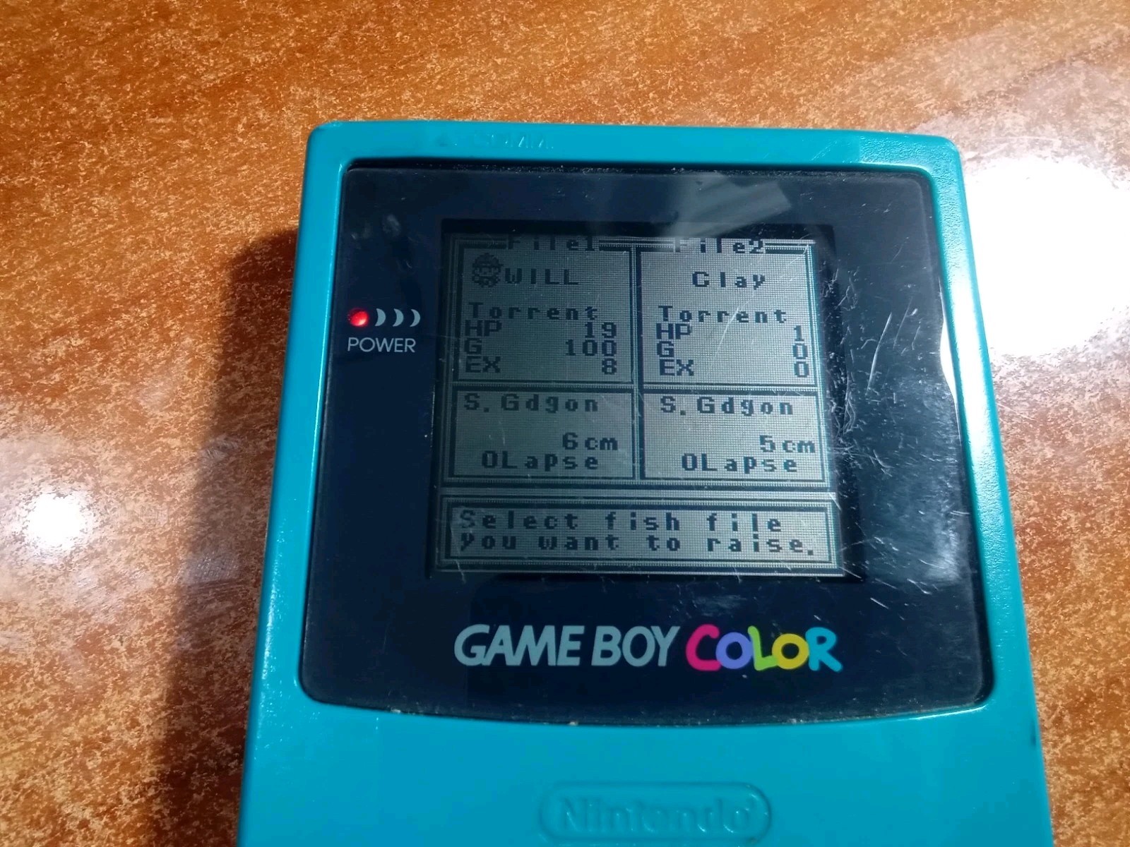 Legend of the River King (Nintendo Game Boy, 1999) *TESTED / HOLDS SAVES*