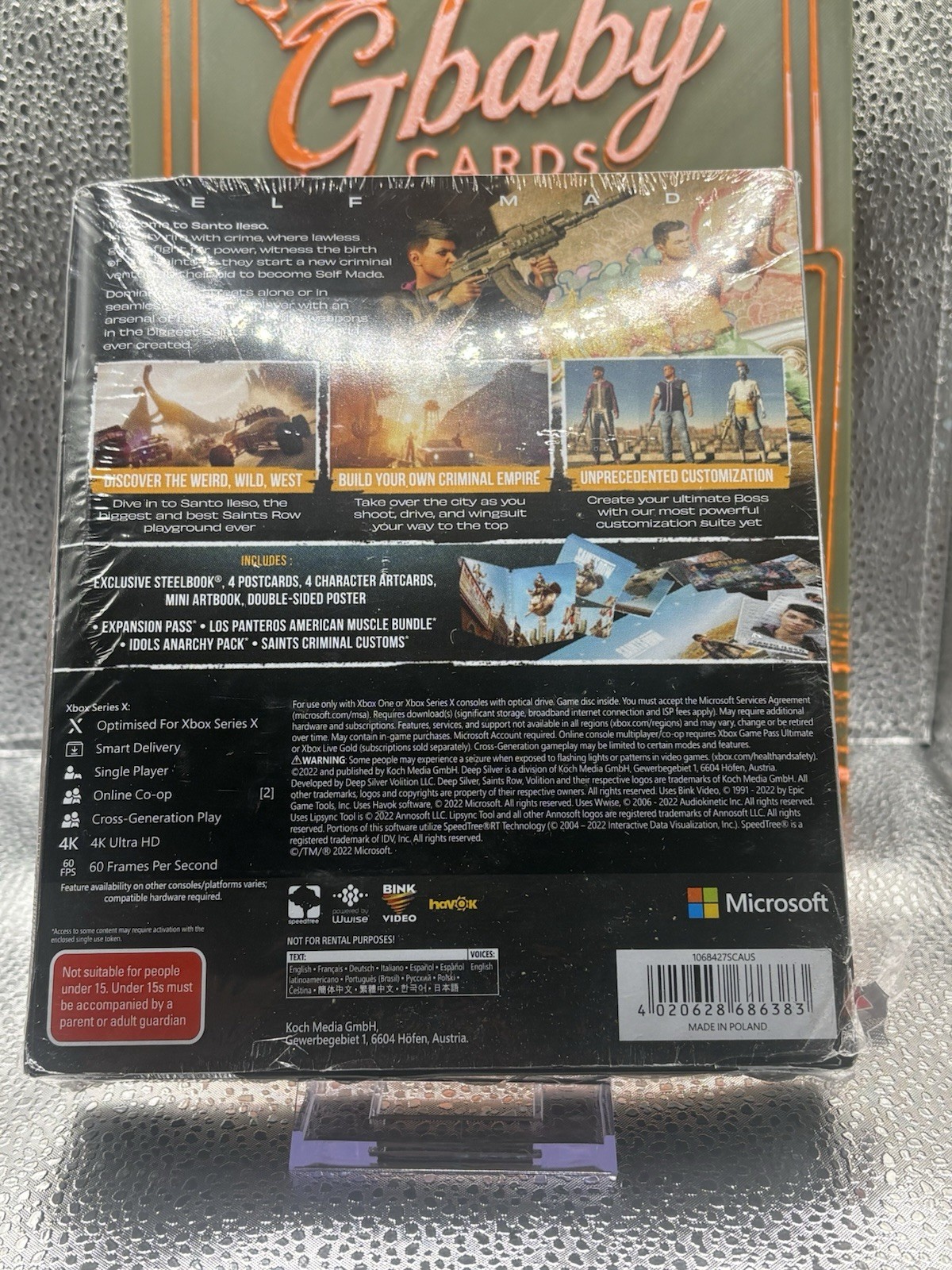 Deep Silver Saints Row Notorious SteelBook + Expansion (Xbox One/Series X)