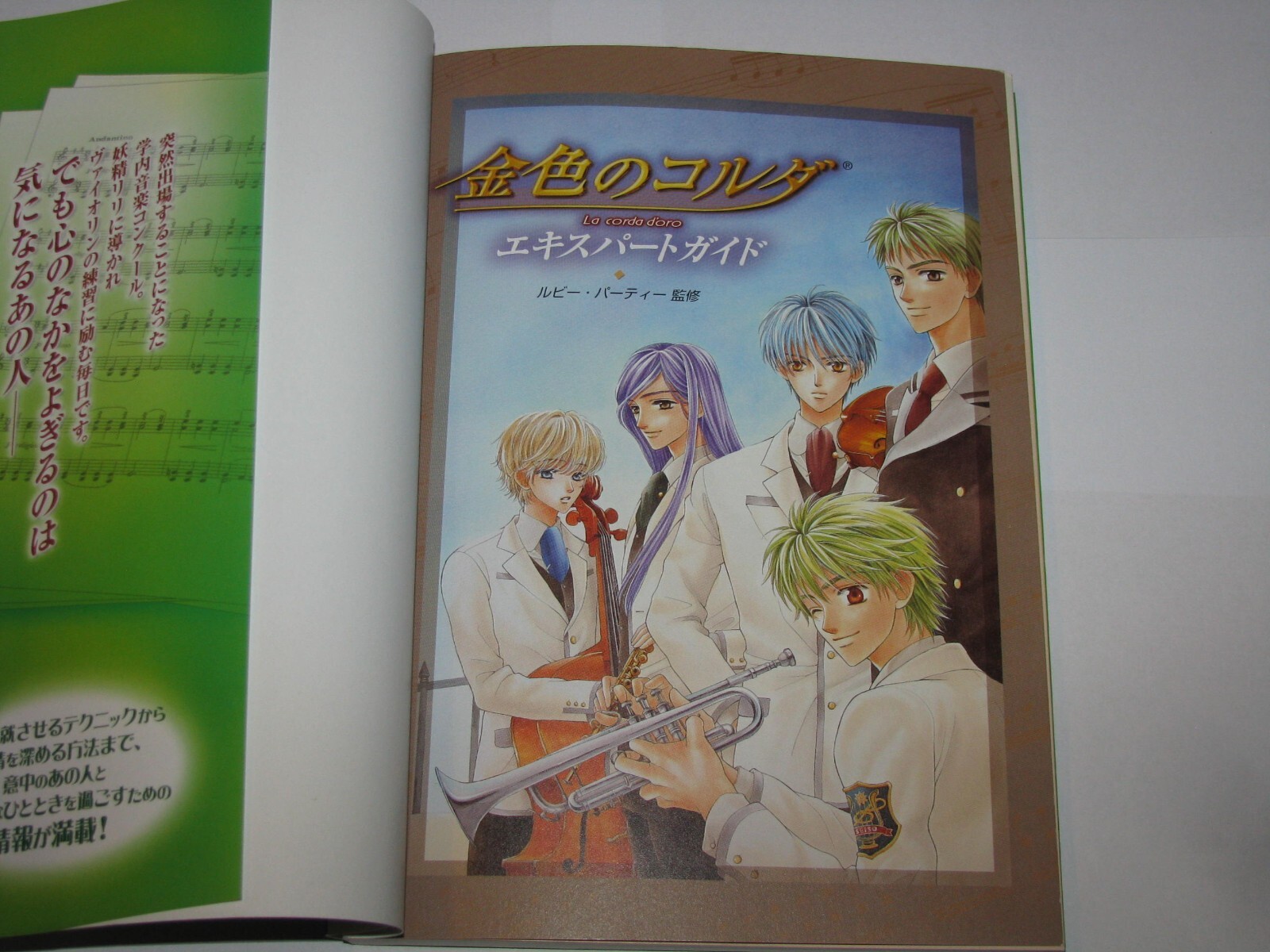 Kiniro no Corda La Corda D’oro PS2 Expert Guide Book Japan import US Seller