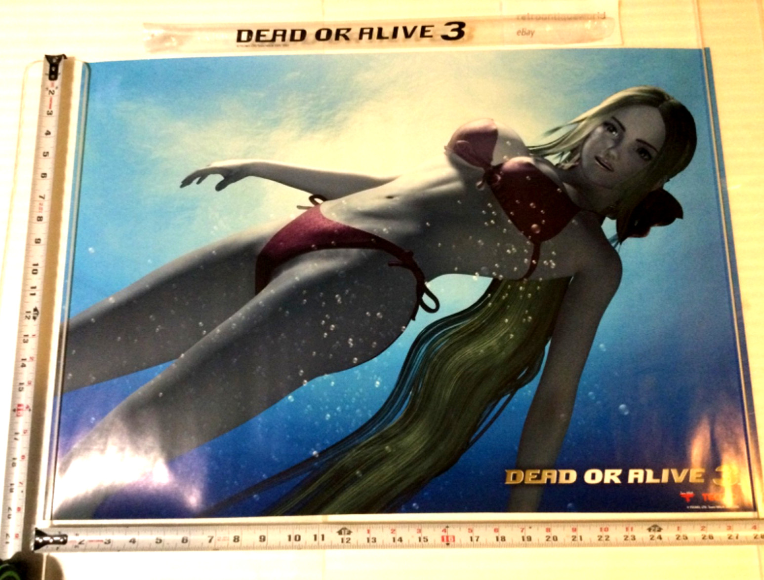 DEAD OR ALIVE 3 Limited Promo Poster Display + Bag RARE Xbox Tecmo Itagaki DOA
