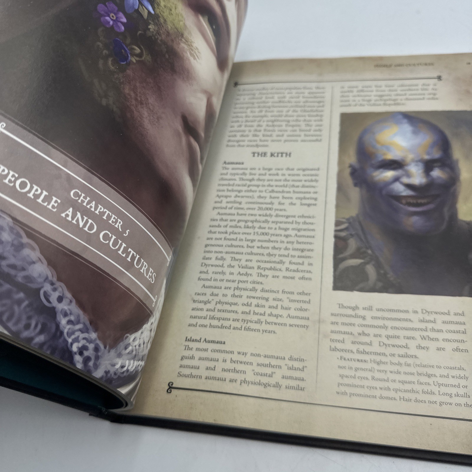 Pillars of Eternity Guidebook Volume One Dark Horse Books EUC