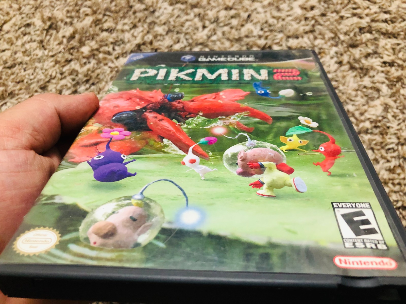 Pikmin 2 (Nintendo Gamecube, 2004) Case and disc (no manual) Tested