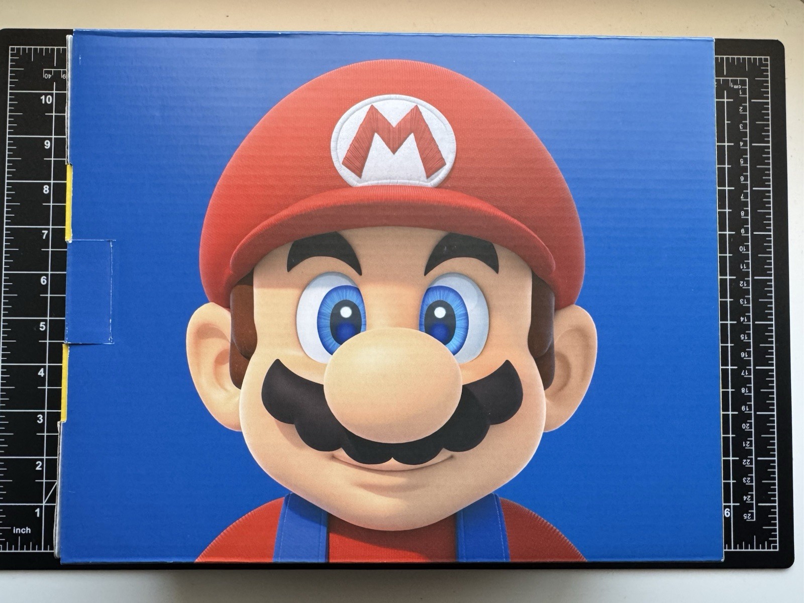 Nintendo Switch Mario Day / Choose One Console
