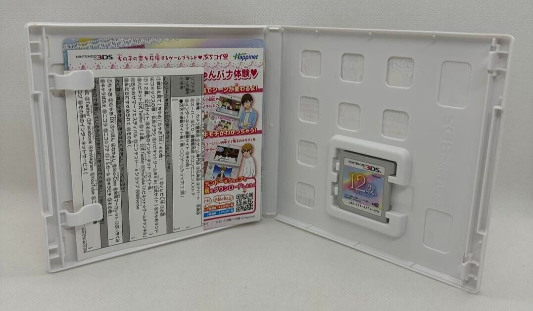 Age 12 Years Old Melting Puzzle & True Feelings & Love Diary set Nintendo 3DS