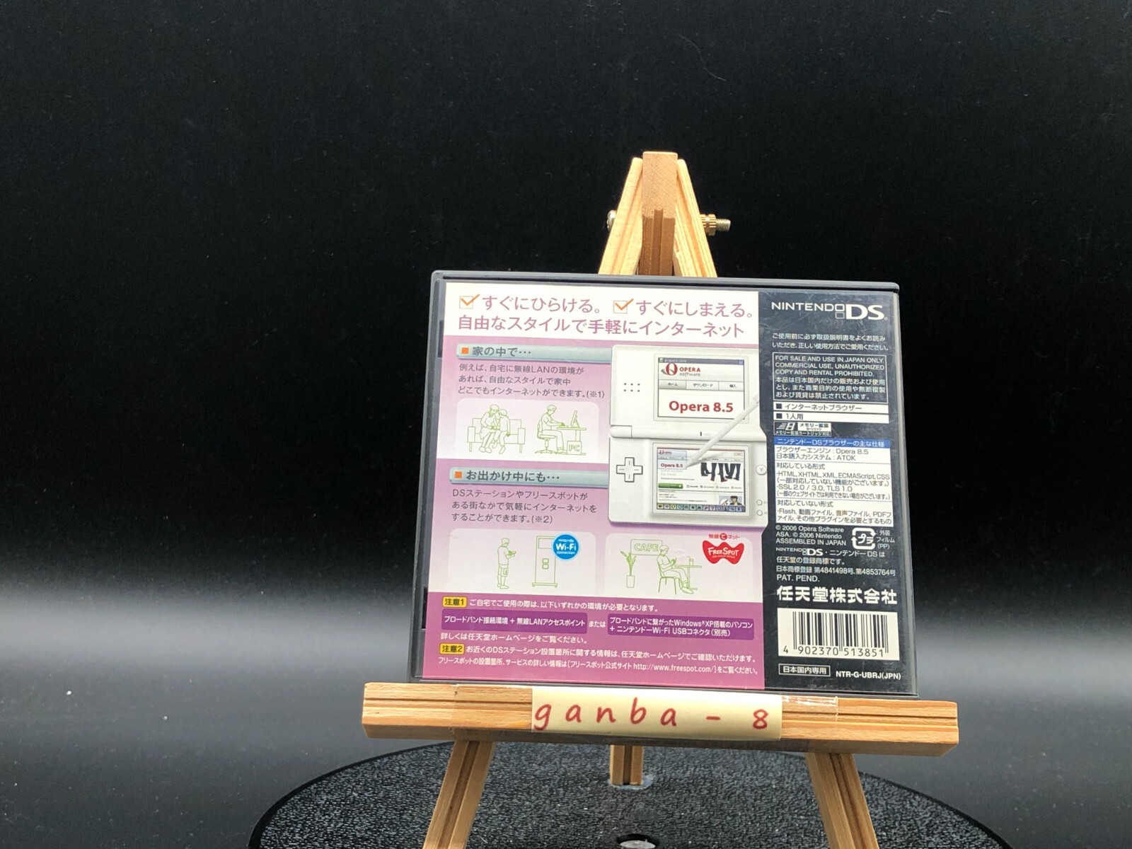 Nintendo DS & DSi Browser (Nintendo DS,2006) from japan