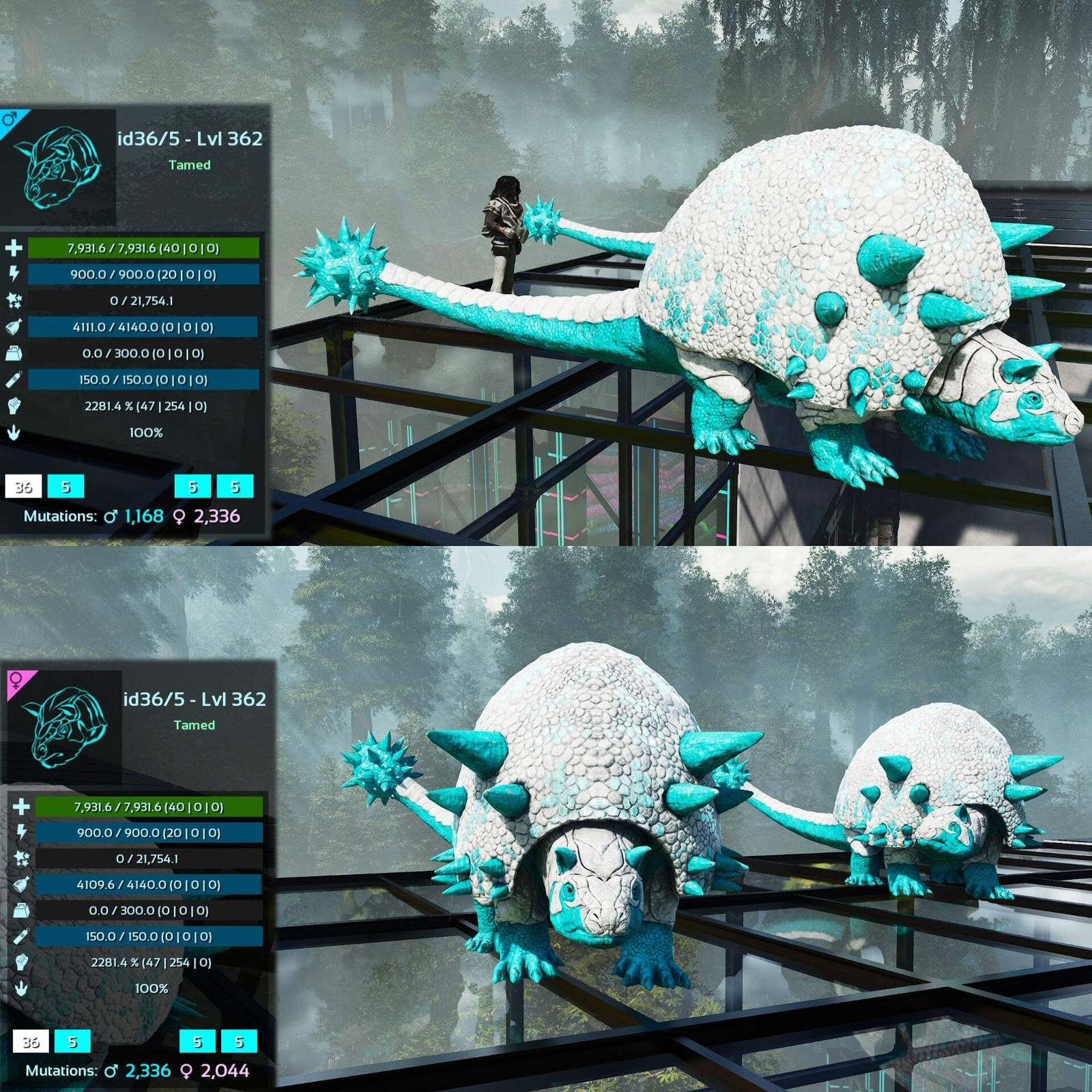 ASA PVE 🦖ARK Survival Ascended Aberrant Doedicurus Doedi 2281.4%Melee Top