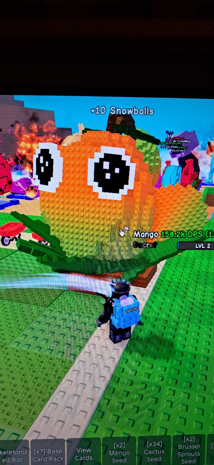 Plants vs brainrot big mango level 2 158.2k DPS