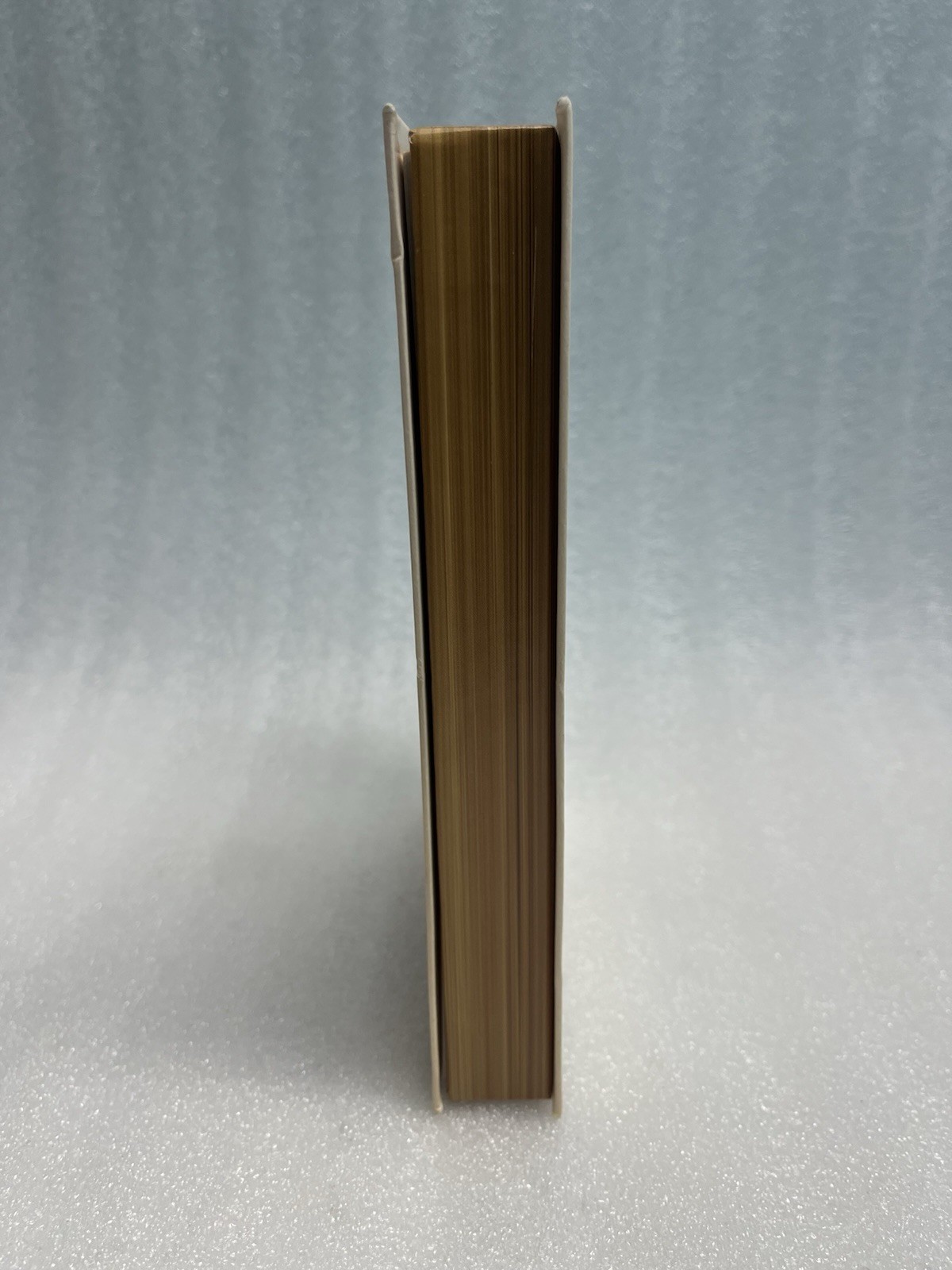 The Last Story Limited Edition (Nintendo Wii) Complete