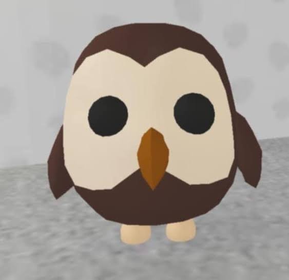FR Owl – Adopt Me – Cheap & Trusted Store!! FAST DELIVERY! QUICK RESPONSES!