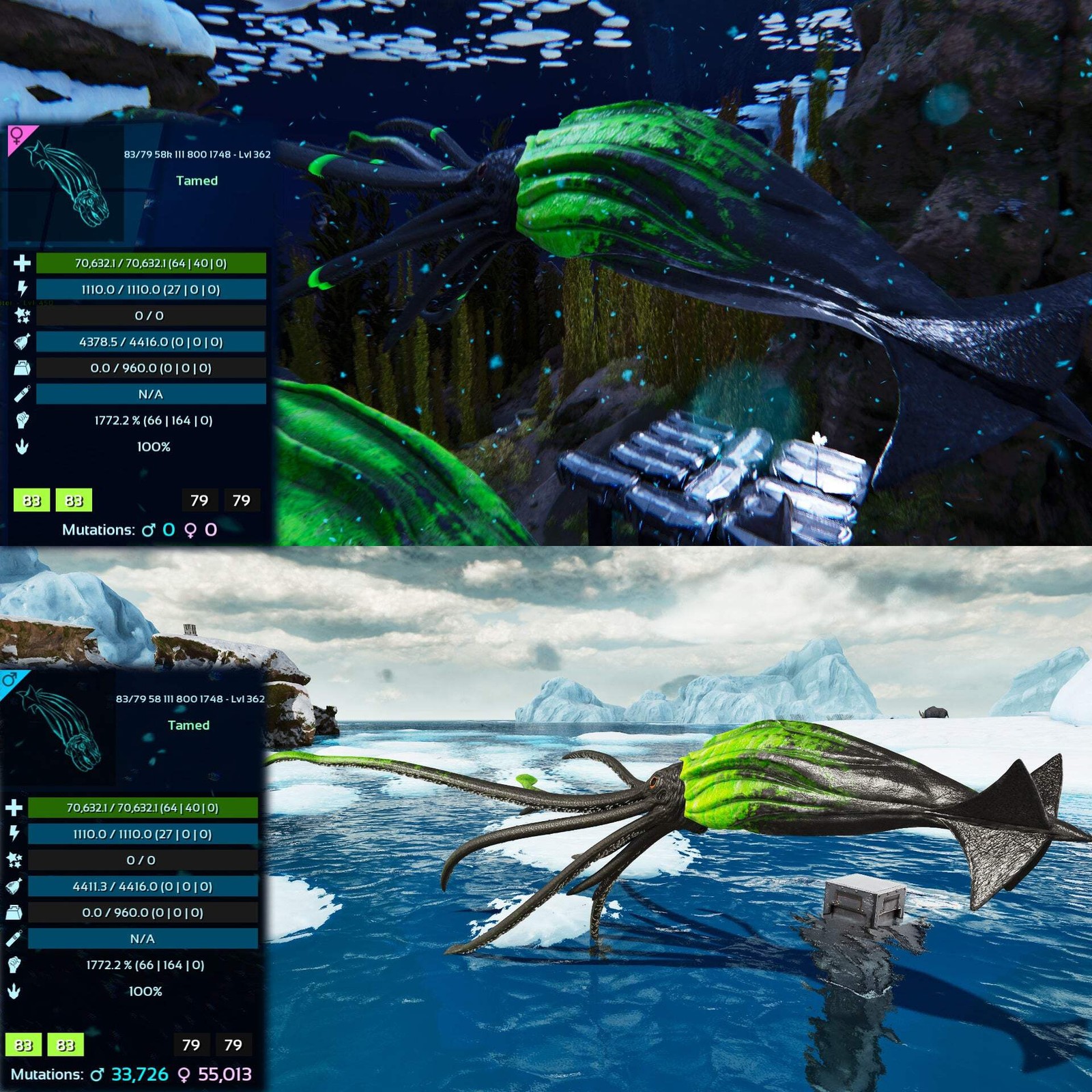 Tuso ASA PVE 🦖ARK Survival Ascended Tusoteuthis 1772%Melee Imprinted