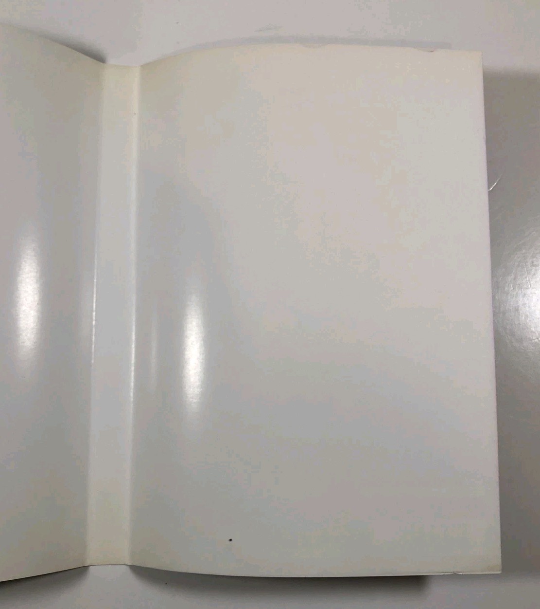 AUTHENTIC COVER ART ONLY NO GAME Dark Cloud 2 (PlayStation 2 / PS2) PLEASE READ