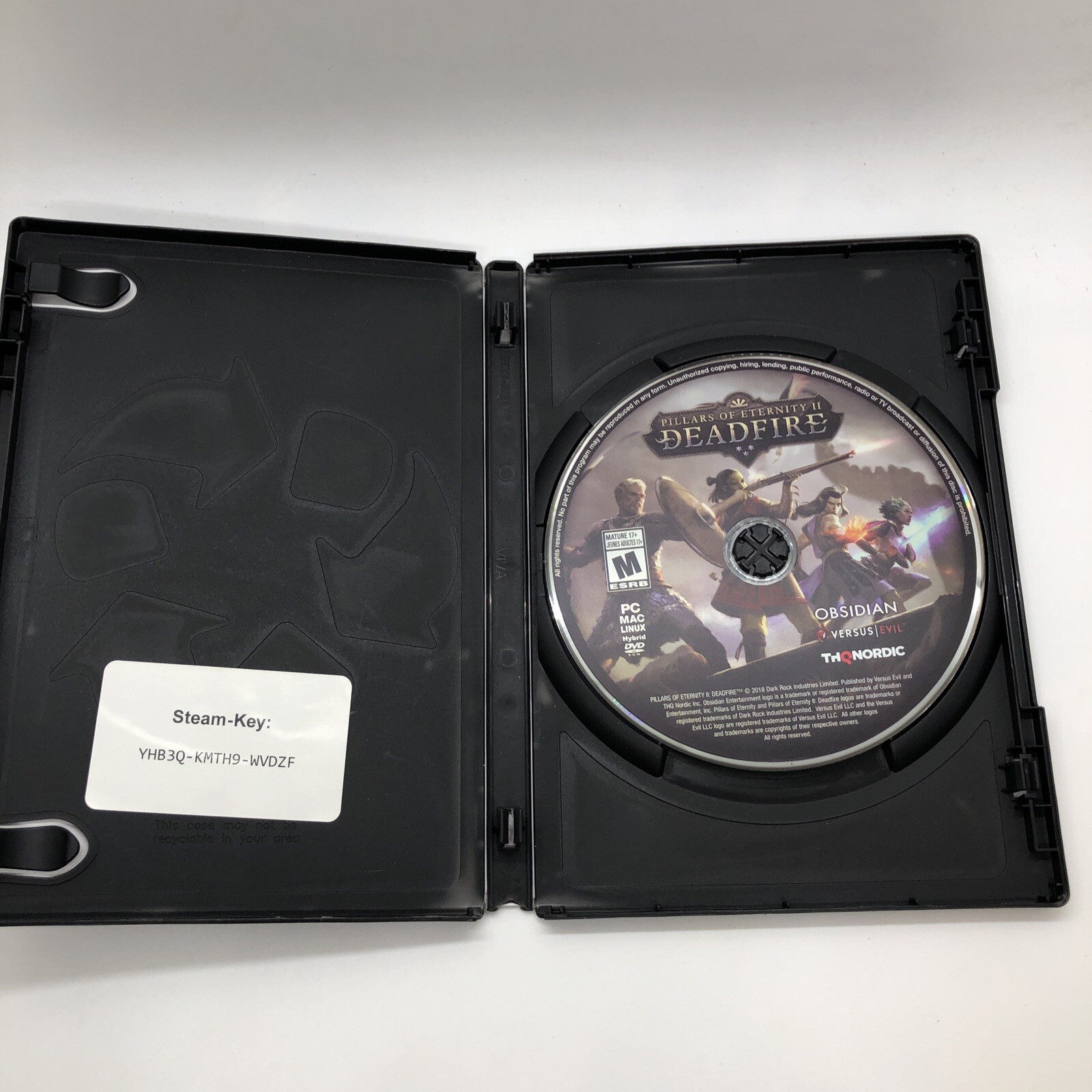 Pillars of Eternity II Deadfire PC