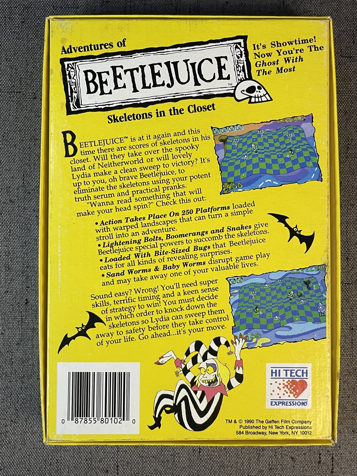 Adventures of Beetlejuice: Skeletons In The Closet 3.5″ Disk Video Game (1990)