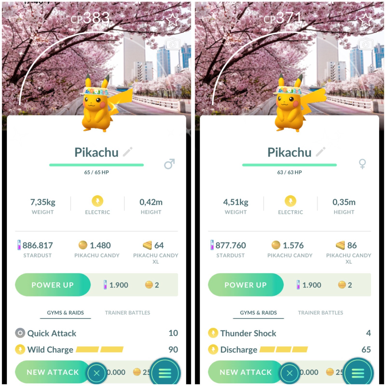 Pokemon Shiny Pikachu Flower hat background Spring Blossom – TRADE 20k stardust