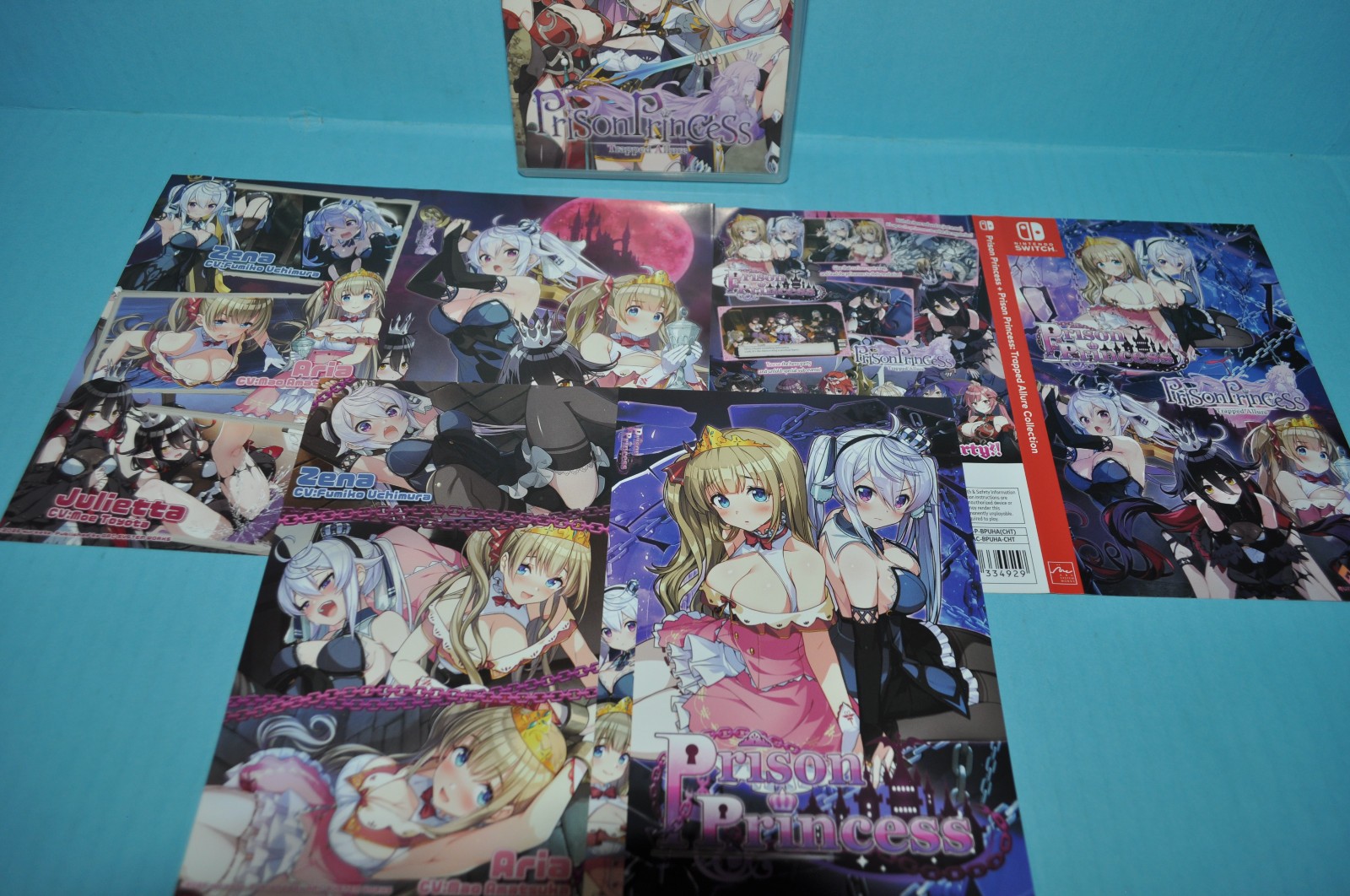 PRISON PRINCESS TRAPPED ALLURE COLLECTION Nintendo Switch W 4 Cover ART Adult