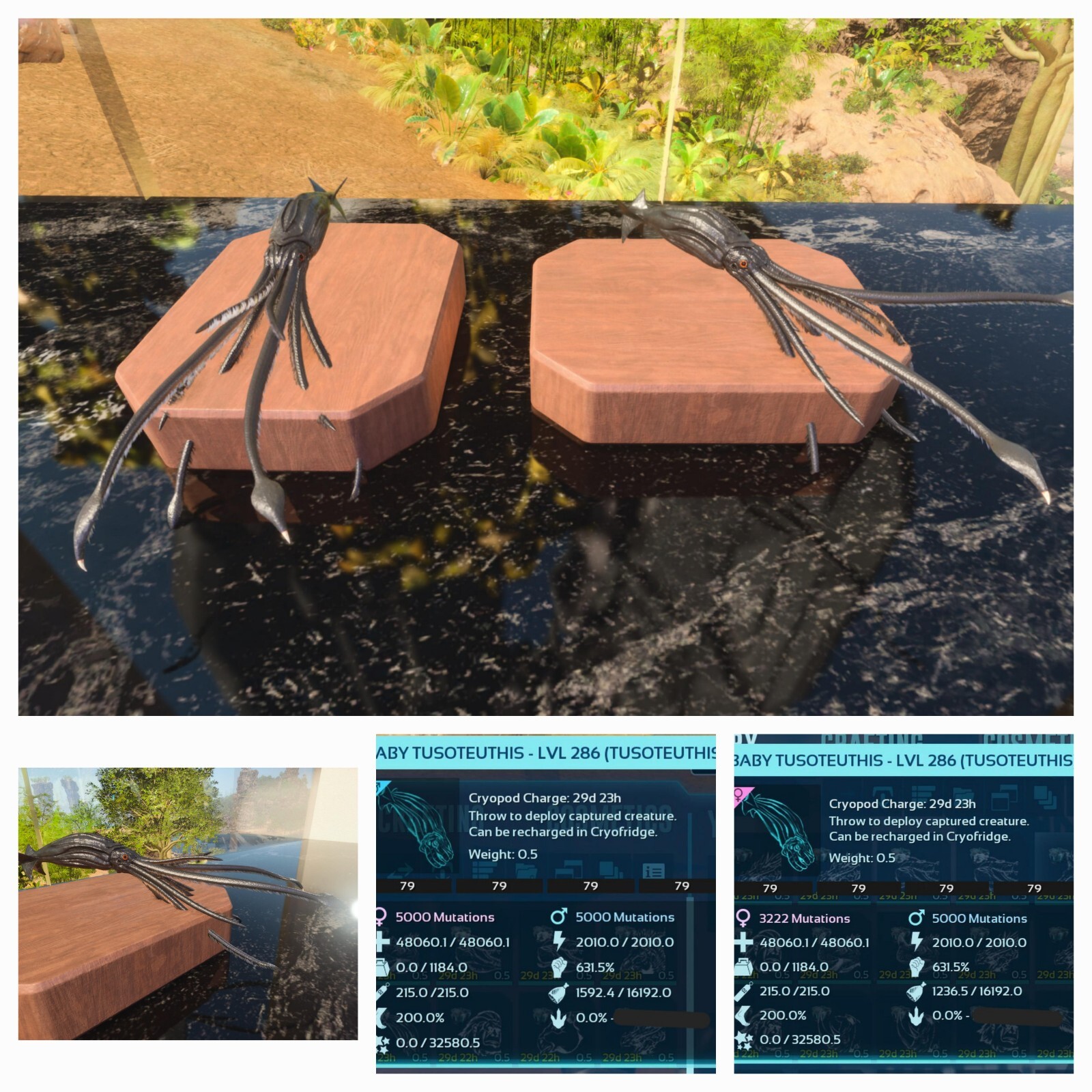 ARK ASCENDED PVE OFICIAL PAIR BABY TUSO BLACK ID79 HIGH STATUS PC/XBOX/PS5
