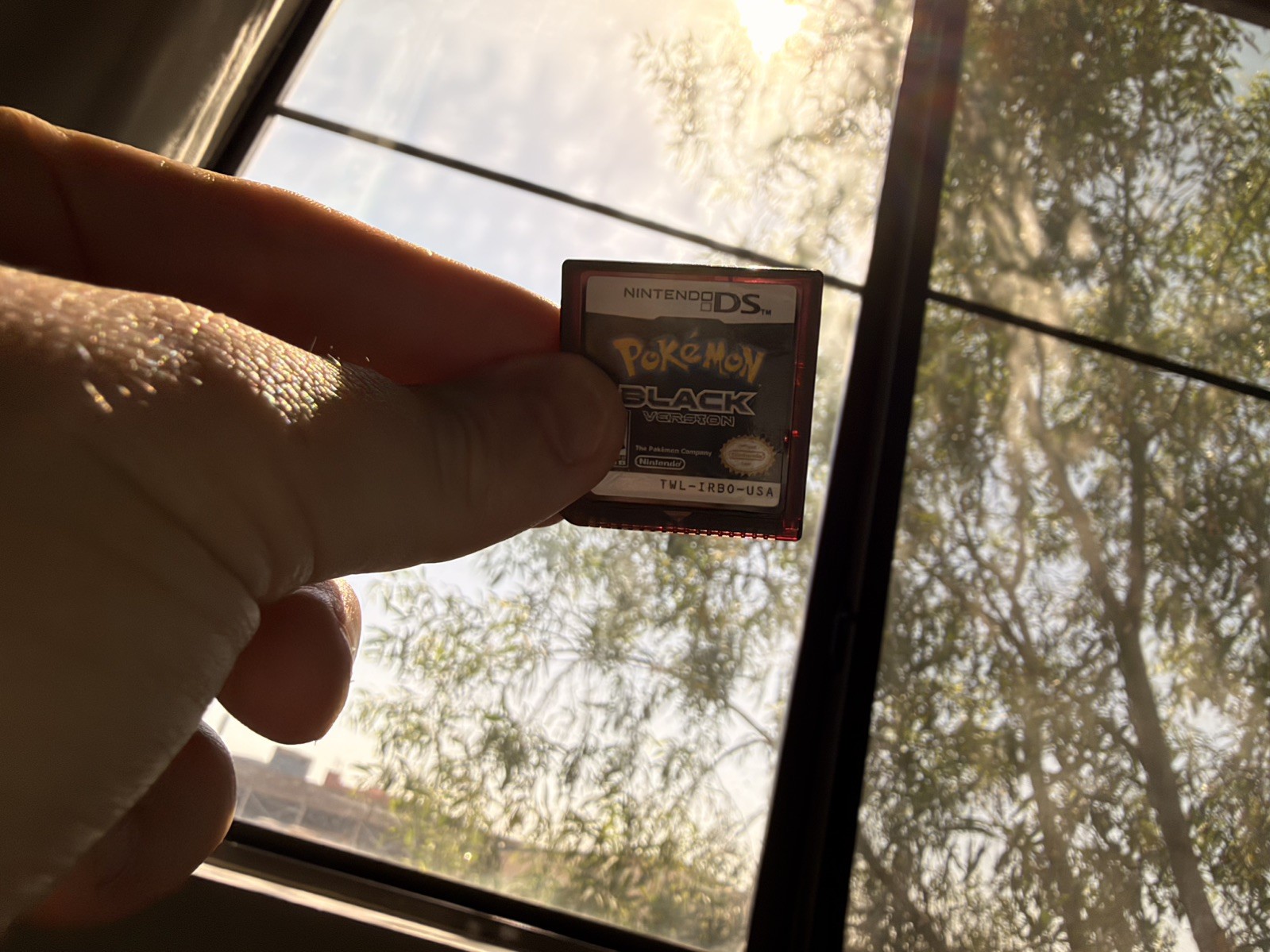 Pokemon Black Version 2 (Nintendo DS) Complete In Box CIB – Authentic – Tested