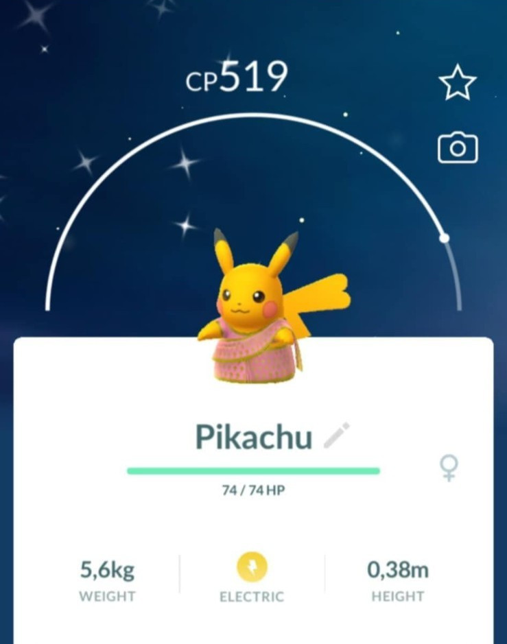 ✨ Shiny Pikachu wearing a saree costume ✨ – P T C – Description