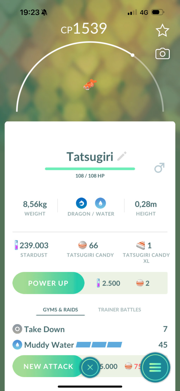 Tatsugiri (Curly) Tr-De 20k stardust