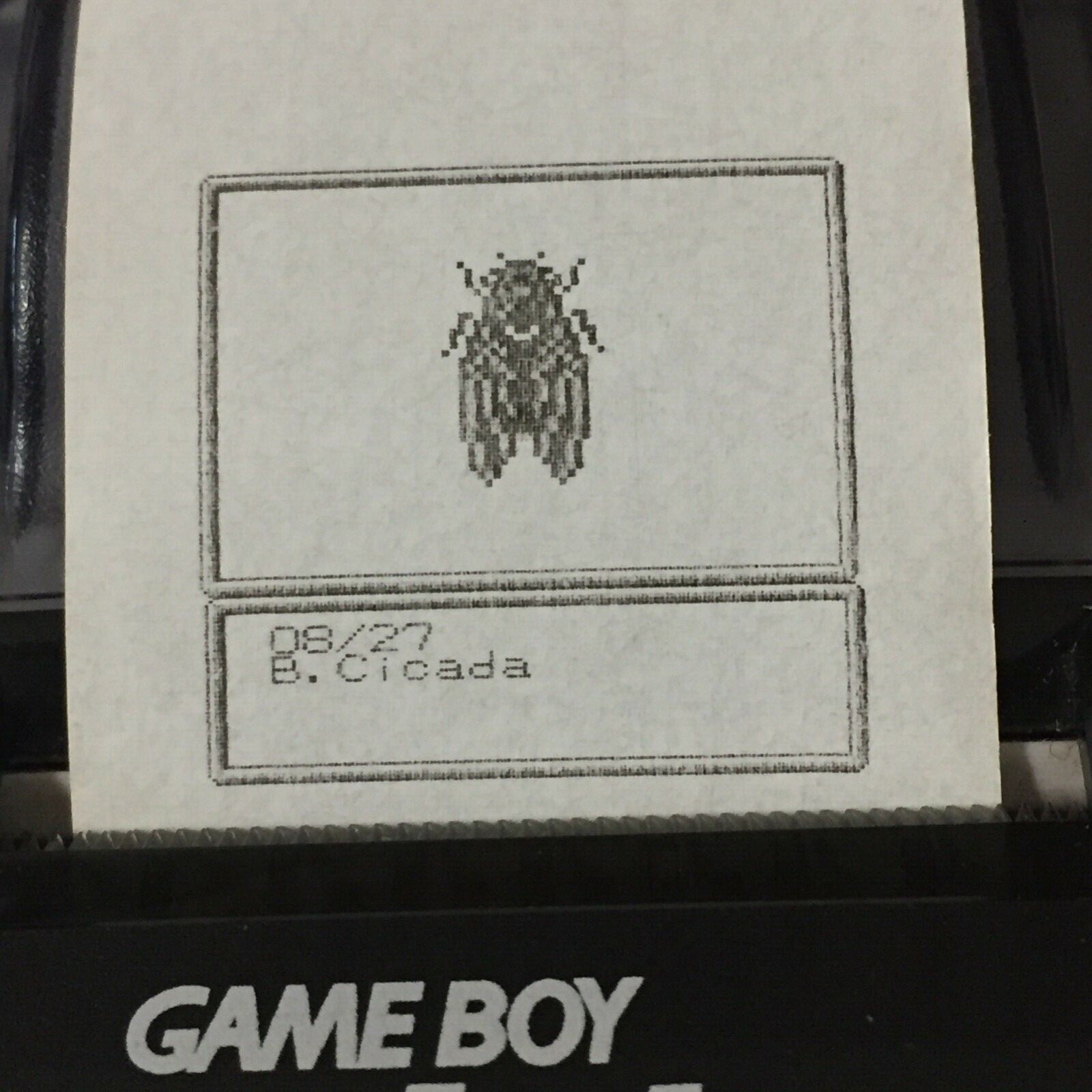 Harvest Moon 2 (GBC) ALL Photos – Game boy Printer Print-outs (64)