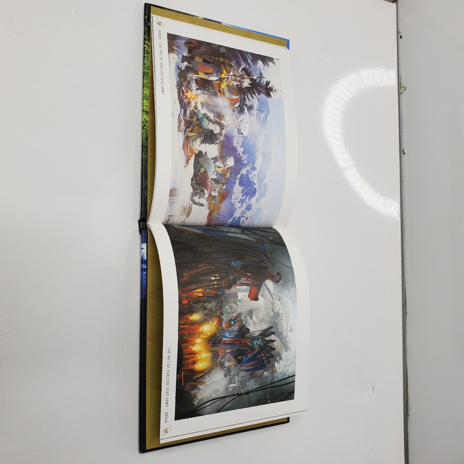 Horizon Zero Dawn : Aloy Collector’s Edition