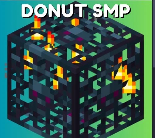 Donut SMP 10 skeleton spawners