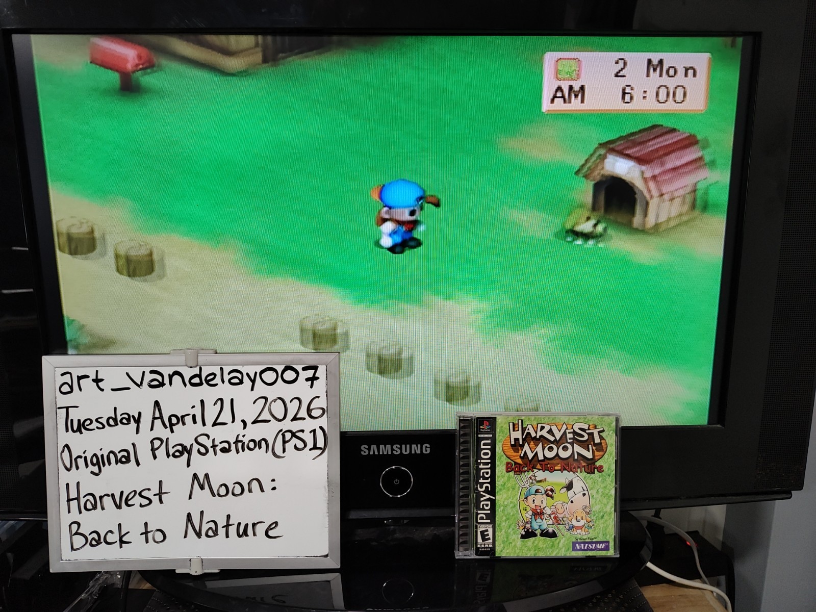 Harvest Moon: Back to Nature (PS1, 2000) *CIB w/ Reg Card + Case Protector* VGC