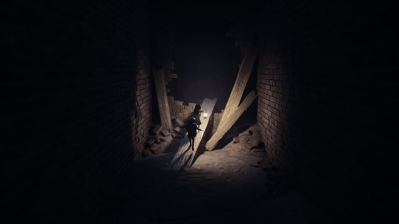 THQ Nordic REANIMAL Horror Adventure Video Game for PlayStation 5, Single Player