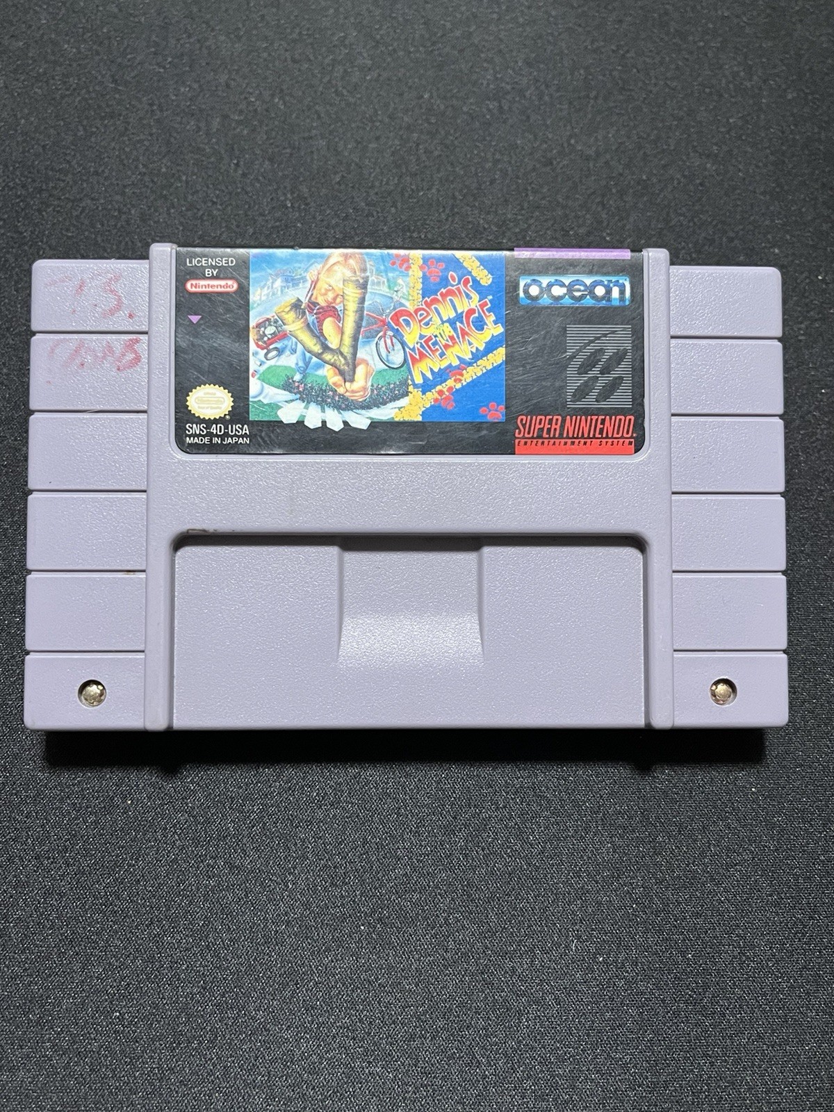 Dennis The Menace Super Nintendo Entertainment System 1993 SNES