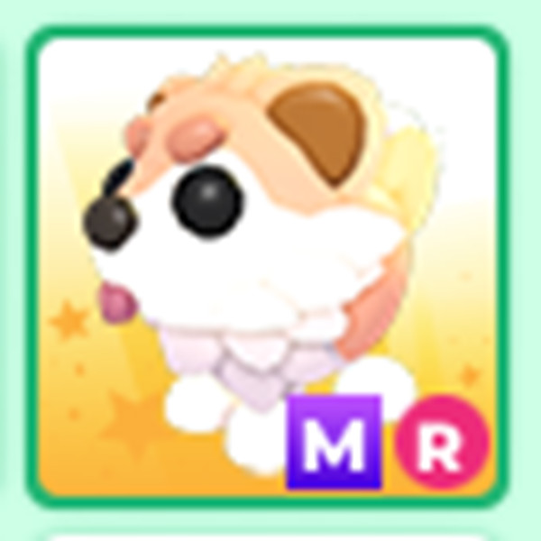 MR Cryptid – The Trusted Store!!