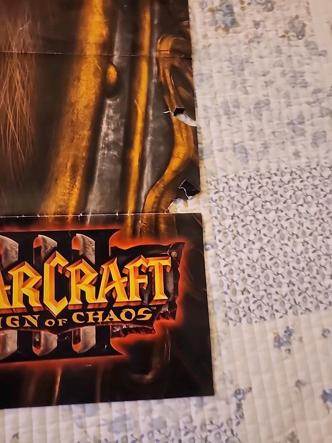 2002 Warcraft III Reign of Chaos Blizzard Entertainment Development Team Poster