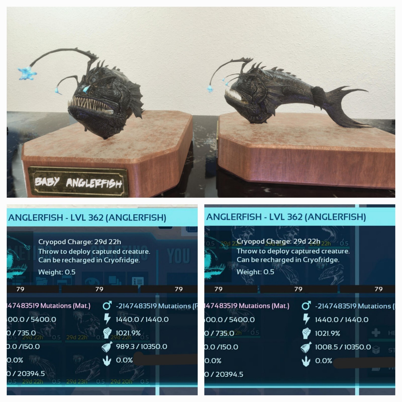 ARK ASCENDED PVE OFFICIAL PAIR BABY ANGLER BLACK ID79 TOP STATUS PC/XBOX/PS5