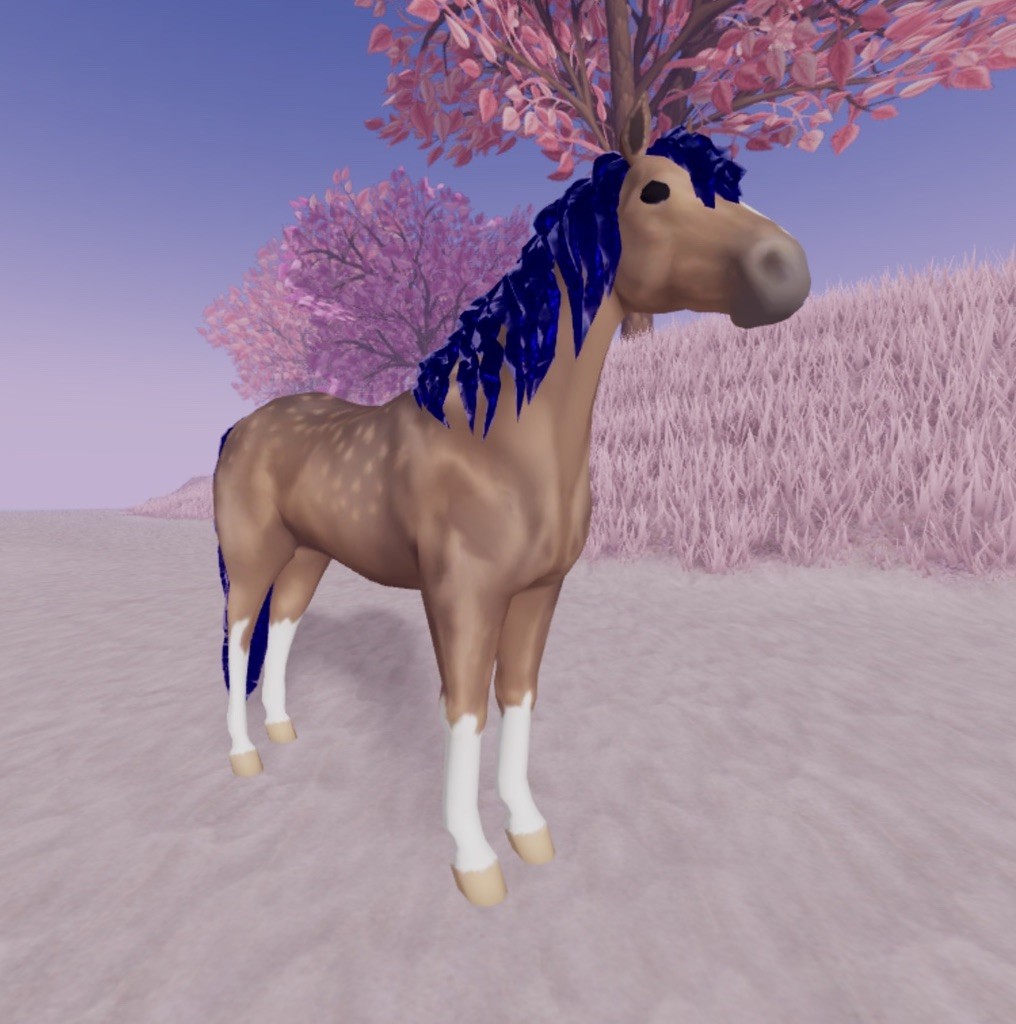 Wild Horse Islands 🌸 IUH Rc Sapphire Pal Dapple Sapphire Morgan 🌸