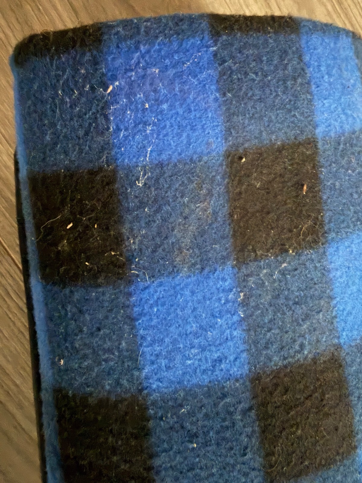 Bungie EMPLOYEE ONLY Memorabilia Gift Picnic Blanket RARE