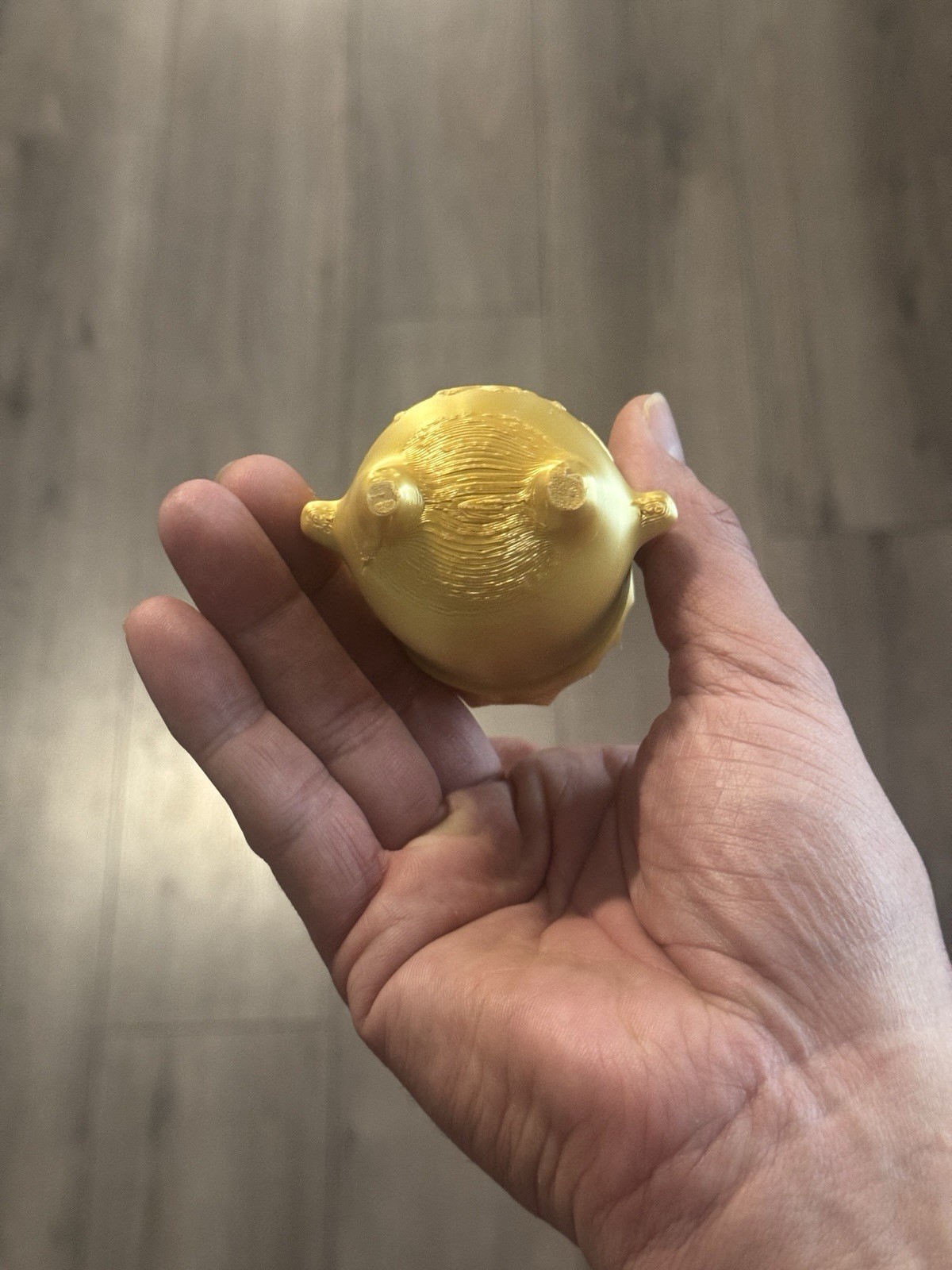 Gold King Spirit – 3D Printed 3.5”X2.5”X2” (it Feels Solid! :)
