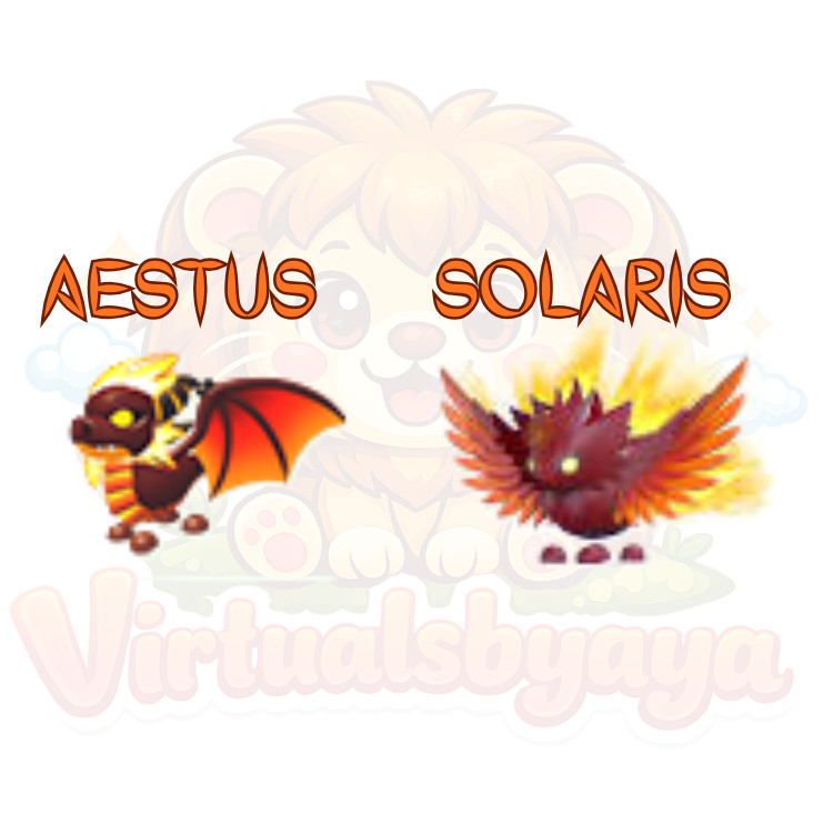 Solaris – Aestus | Adopt Now