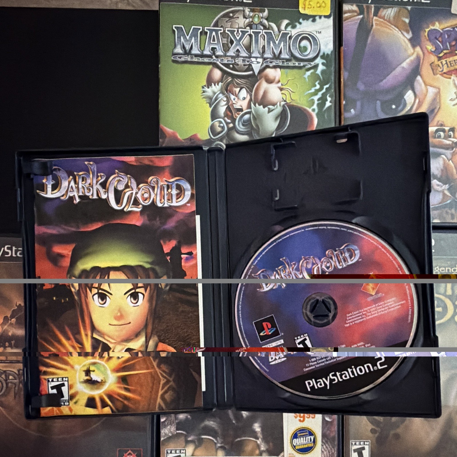 PlayStation PS2 Game Lot w/ Manuals: Dark Cloud Maximo Spyro A Hero’s Tail