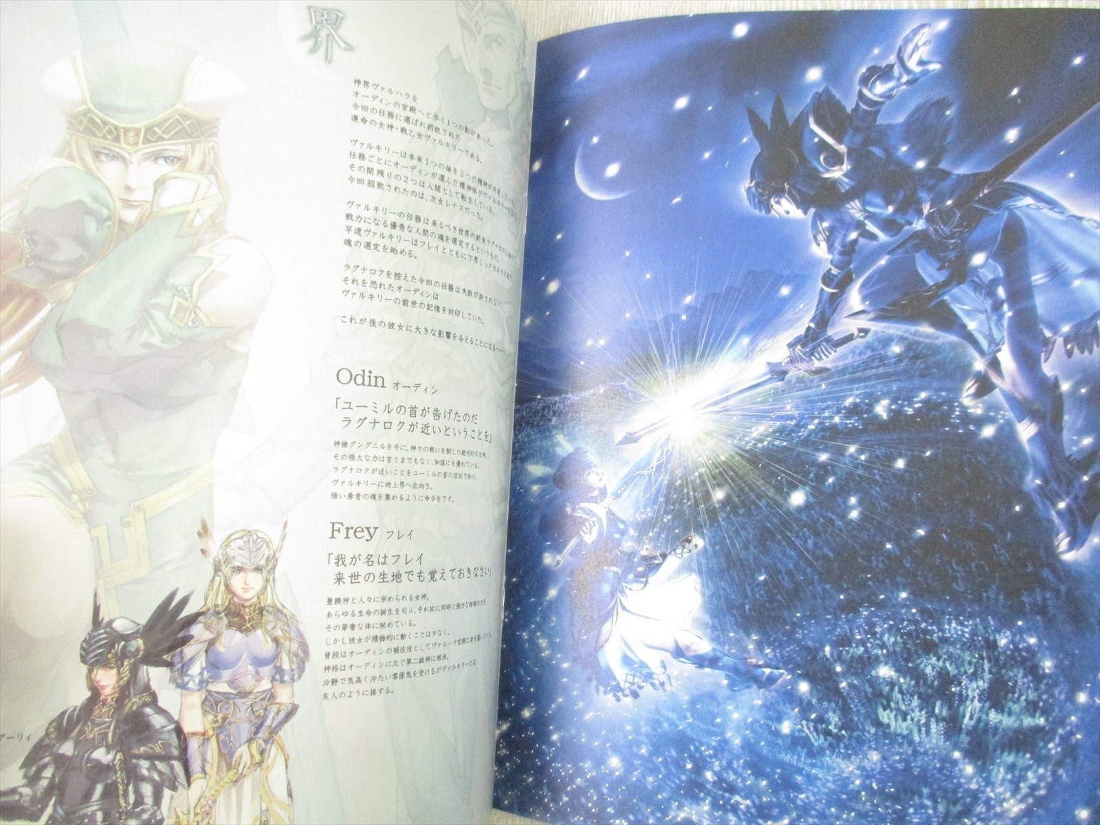 VALKYRIE PROFILE Lenneth Visual Profile Art Book Set 1 & 2 Works PS2 Ltd Booklet