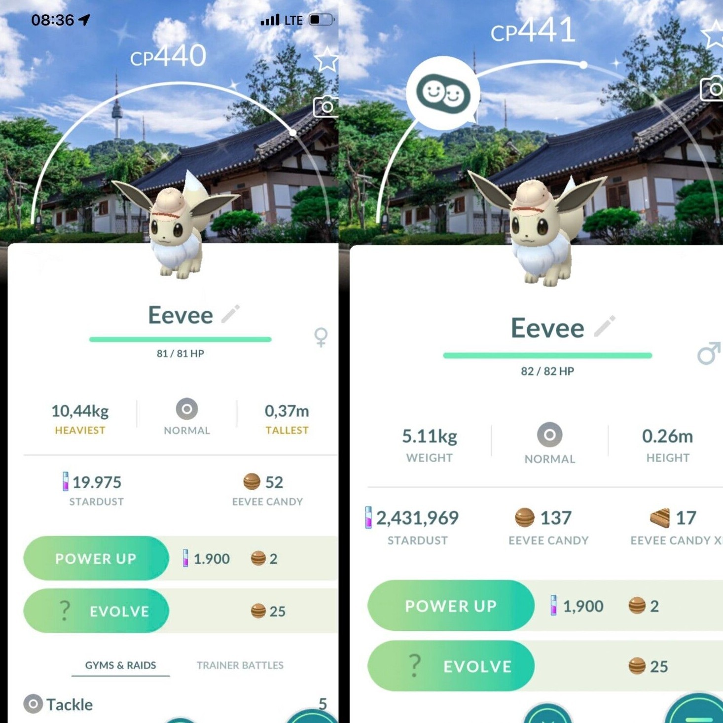 Shiny Eevee wearing an explorer hat Seoul Background – TRADE 20kStardust