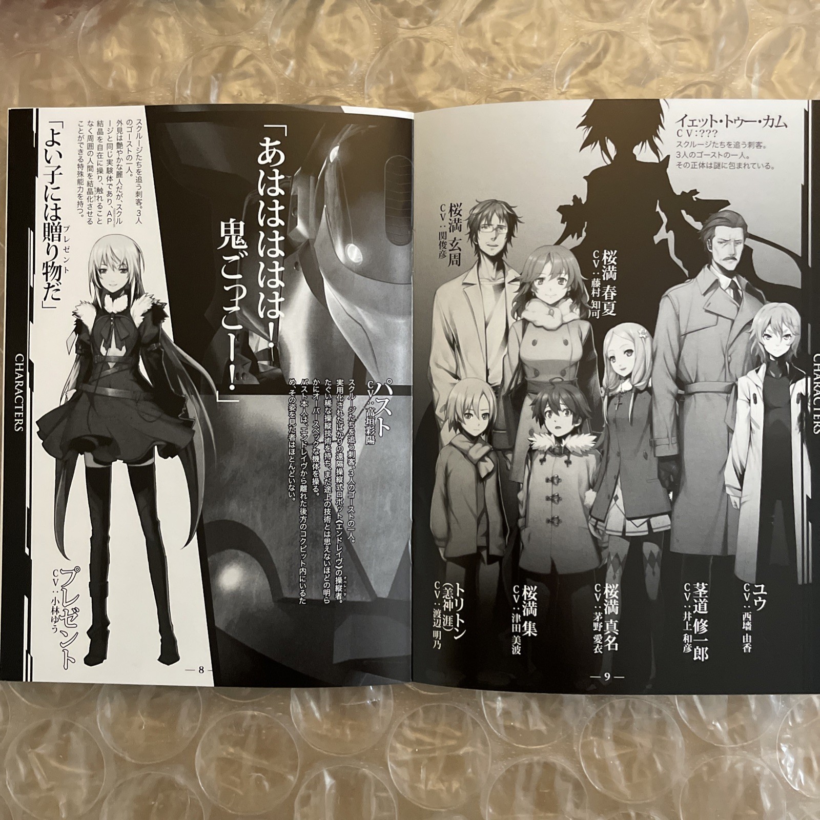 Guilty Crown Lost Christmas Limited Production Edition Japanese VN PC Game USED